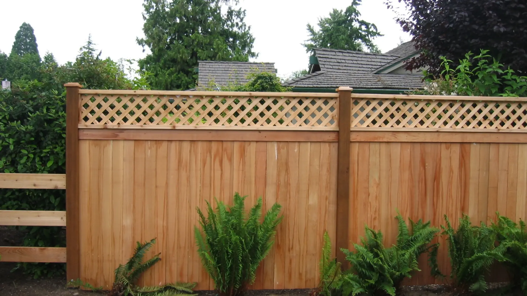 Western Red Cedar Privacy by RKC Wood Care Pros in Oak Grove, MO