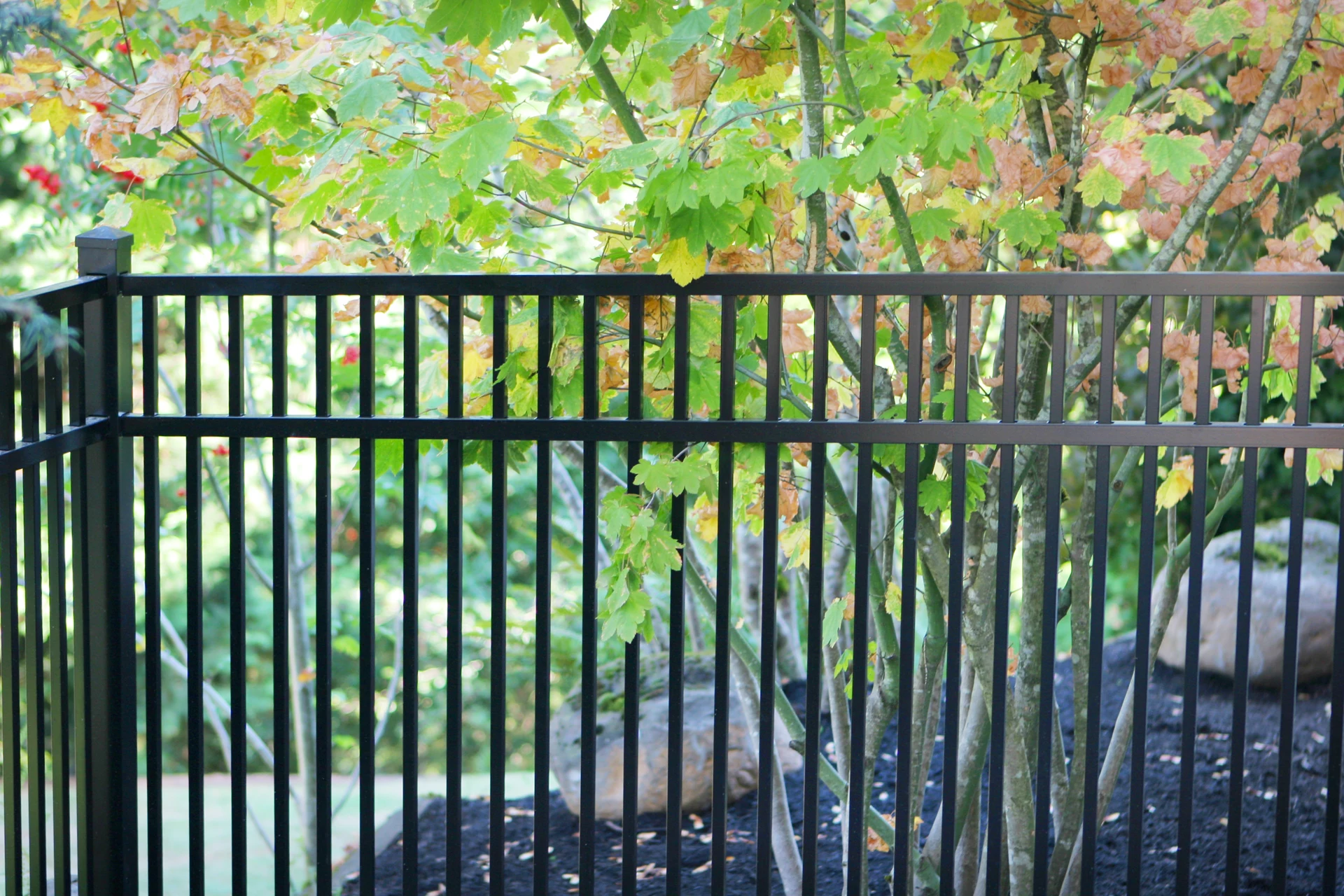 Pool Fence Installation install in Lee's Summit, MO by RKC Wood Care Pros