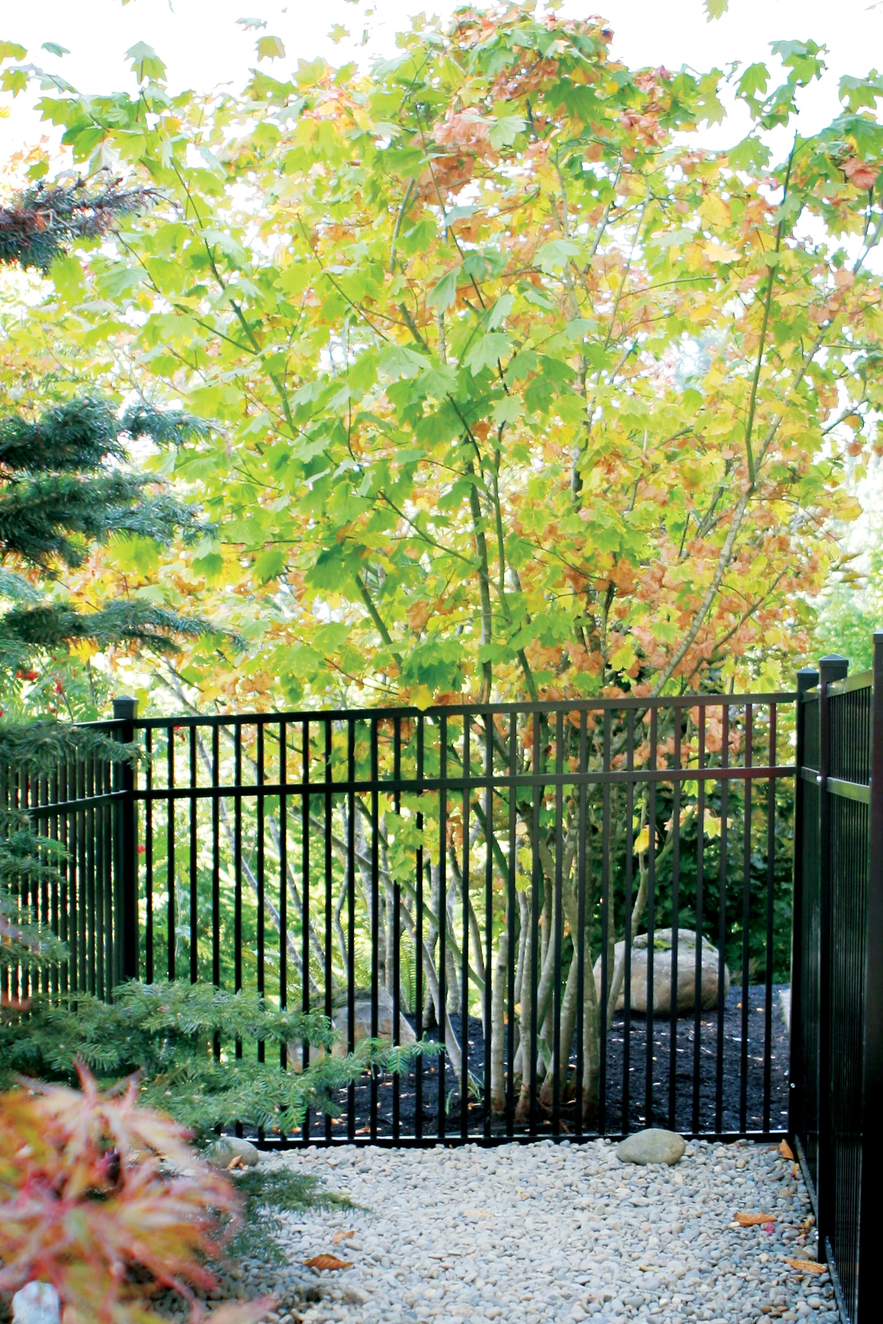 Pool Fence Installation project in Pleasant Hill, MO by RKC Wood Care Pros