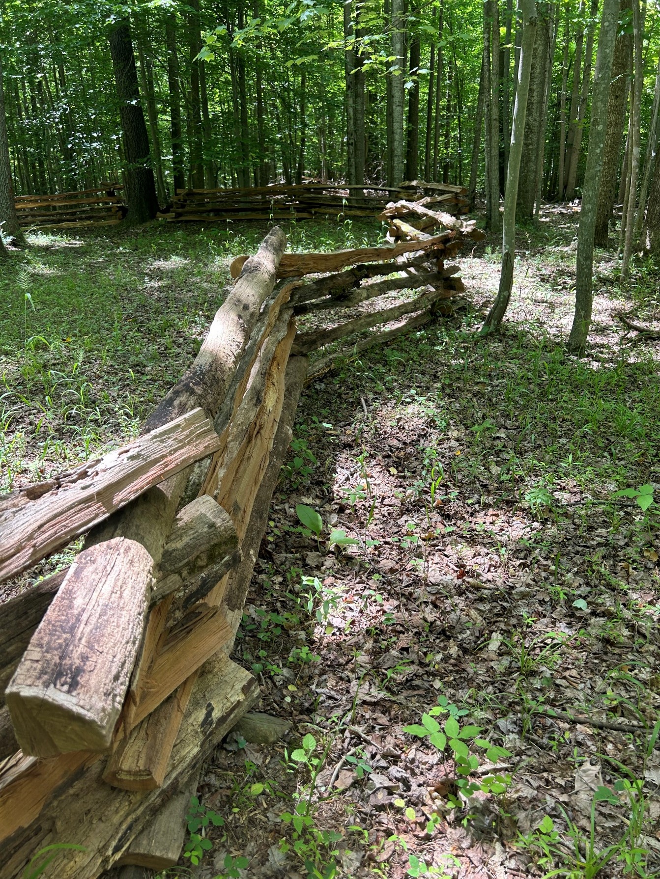 Cedar board-on-board privacy fence cost guide — Raymore, MO — RKC Wood Care Pros