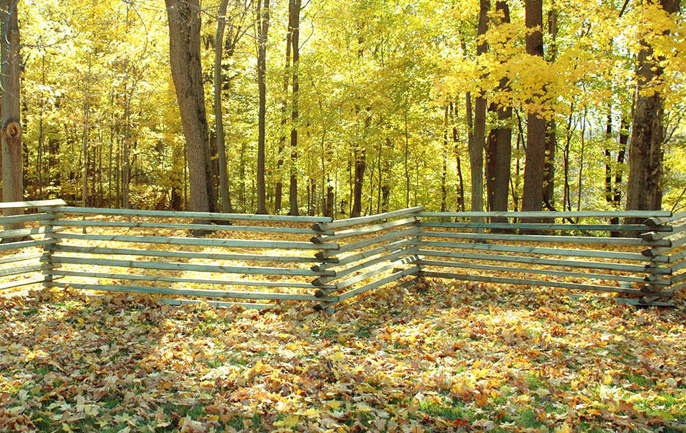 Cedar board-on-board privacy fence with kickboard in Raymore, MO — RKC Wood Care Pros