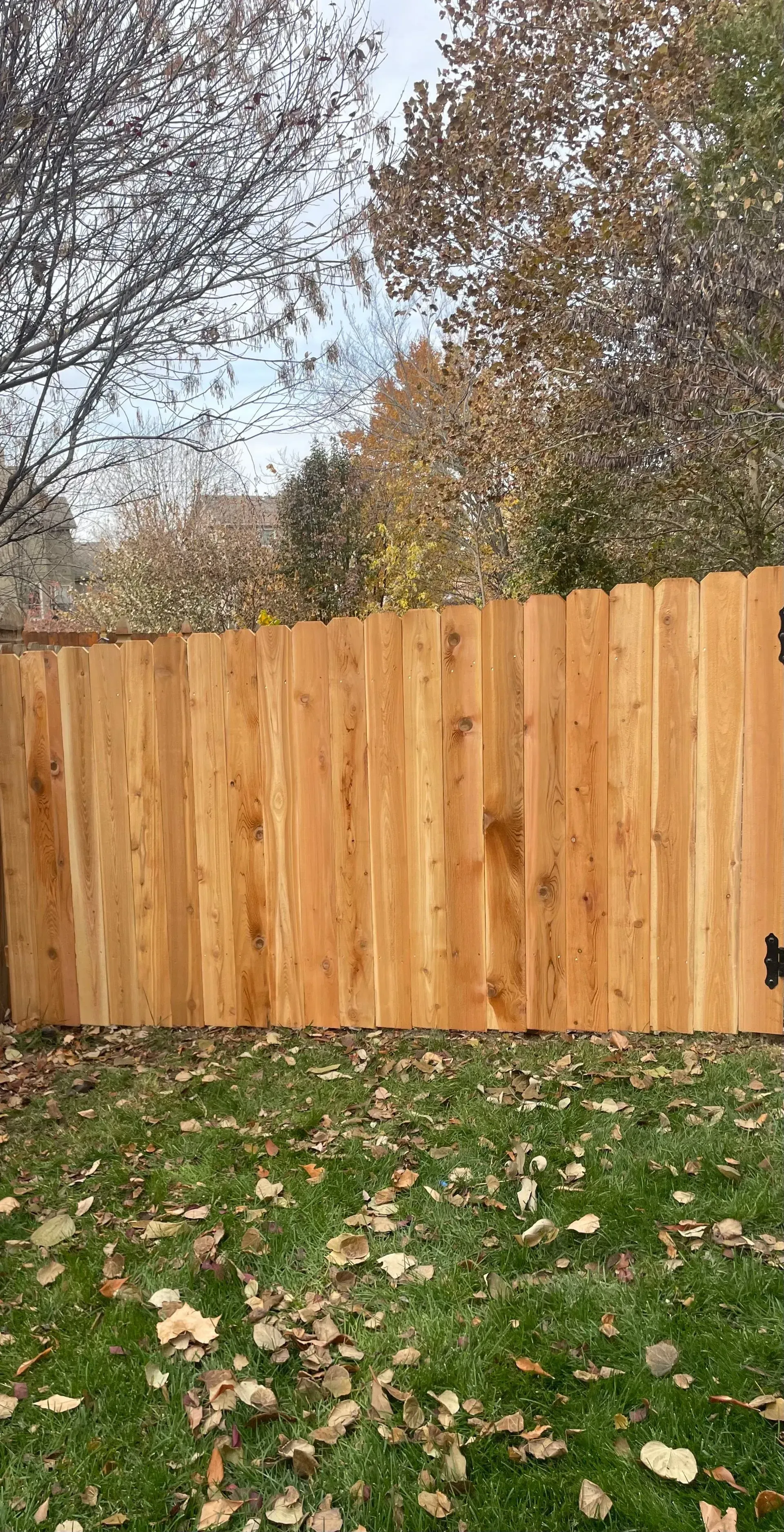 Vinyl privacy fence in Independence MO by RKC Wood Care Pros