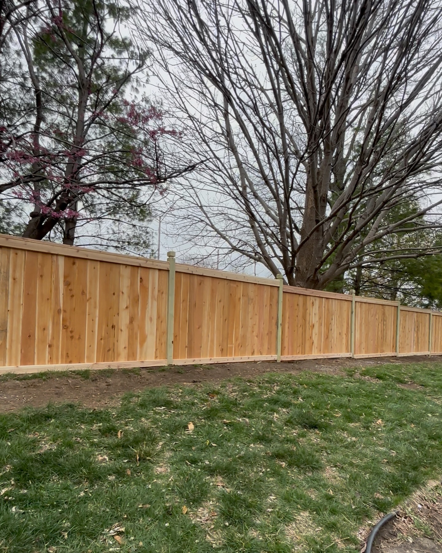 Long run of cedar board-on-board privacy fence installed in the Kansas City metro — RKC Wood Care Pros