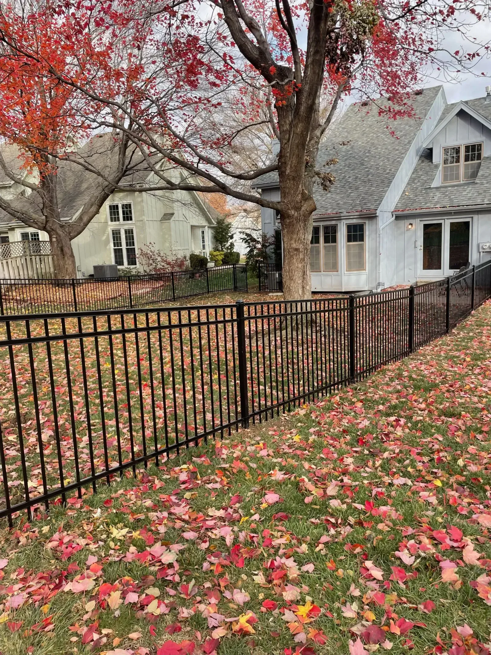 Black ornamental aluminum fence installed in Prairie Village, KS front yard amid fall foliage