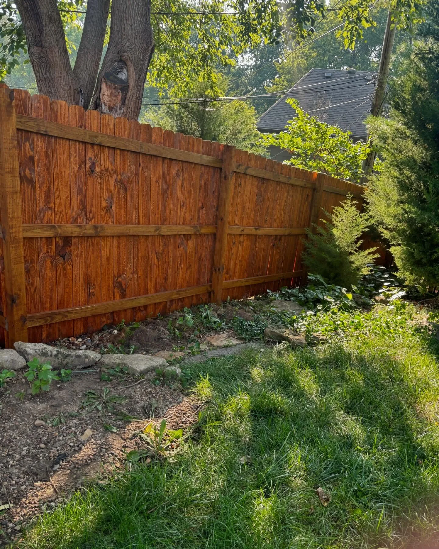 Dark-stained cedar privacy fence in Belton, MO backyard — warm brown tones in late afternoon light