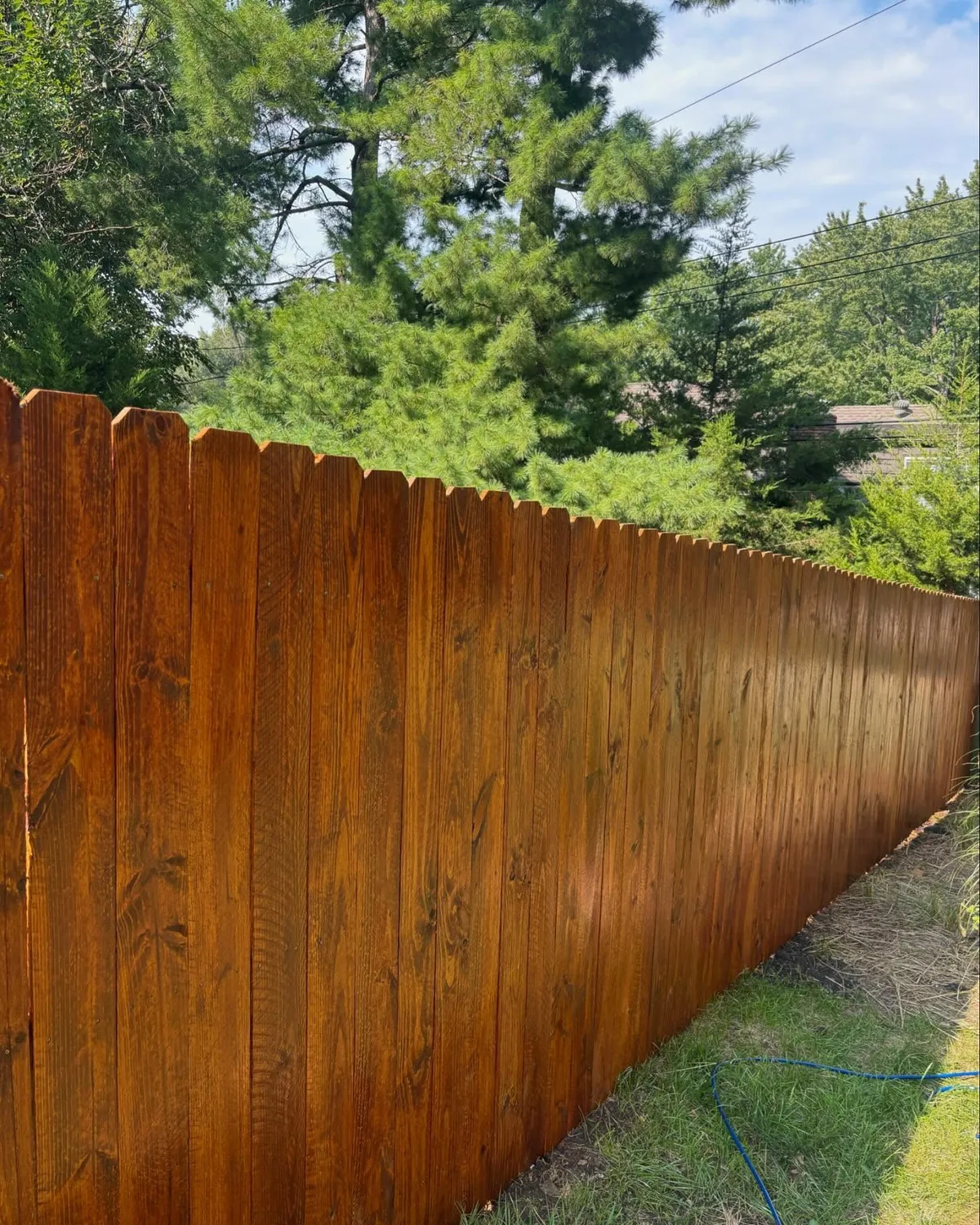 Full run of dark-stained cedar privacy fence along Belton, MO property line — mature shrubs in background