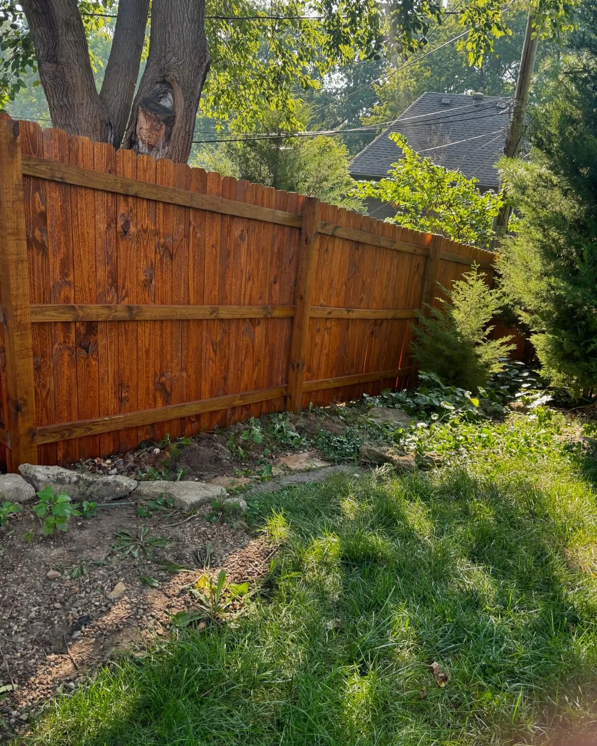 Side angle of stained cedar privacy fence in Shawnee, KS with green grass and evergreen trees
