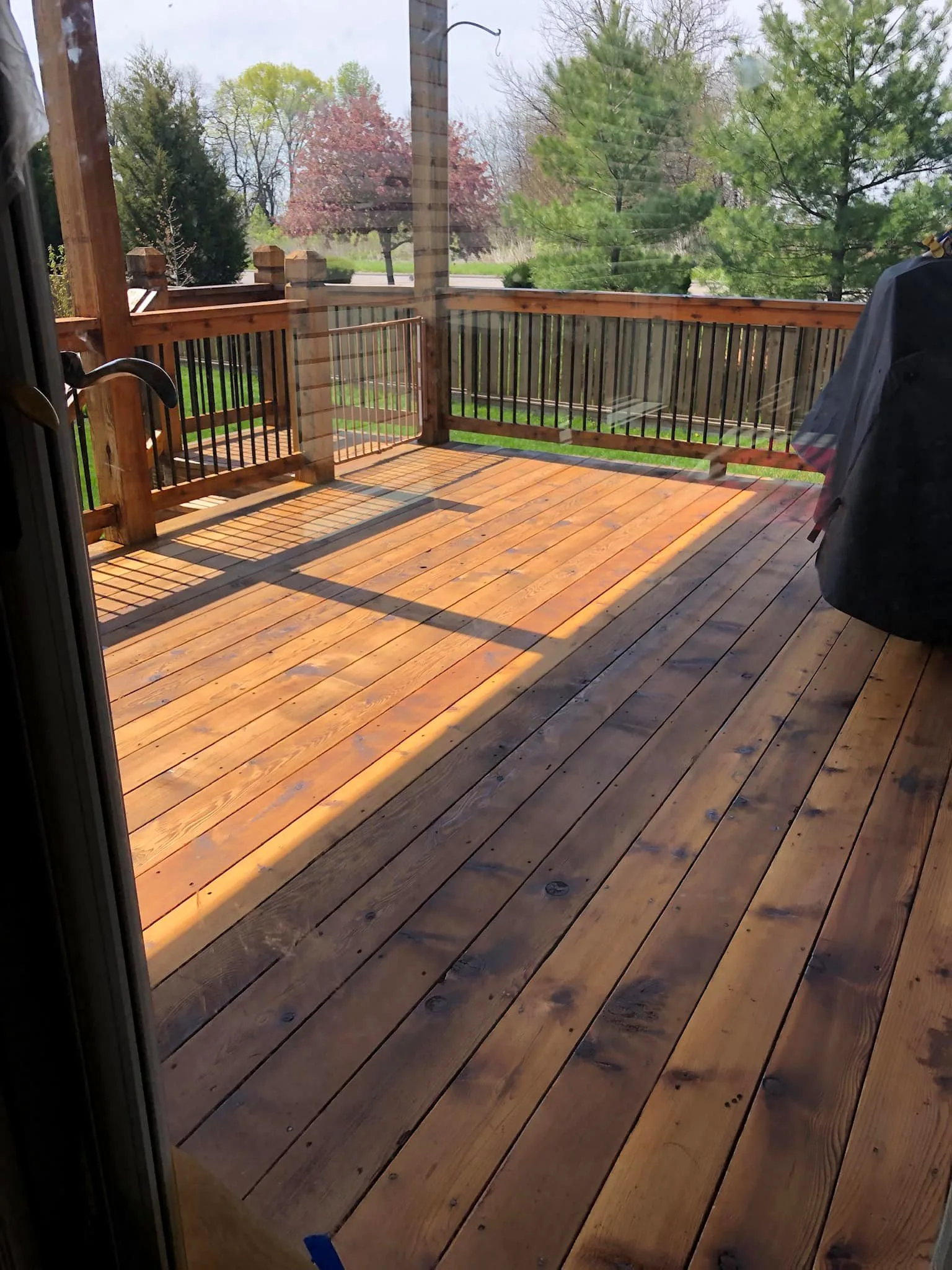 Cedar deck with pergola freshly stained in amber tones in Spring Hill, KS — new green leaves in background